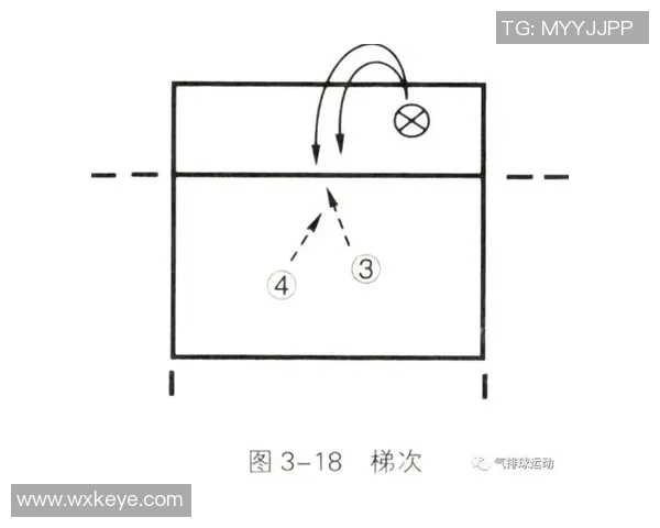 南京排球队的控制打法深度分析与战术解读