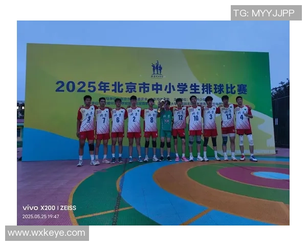 北京排球队的节奏探秘：从训练到比赛的全景解析与发展展望