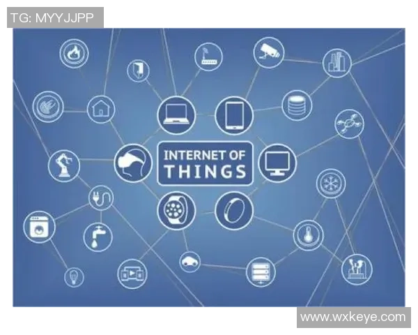 广州羽毛球队的转型之路与未来发展展望分析