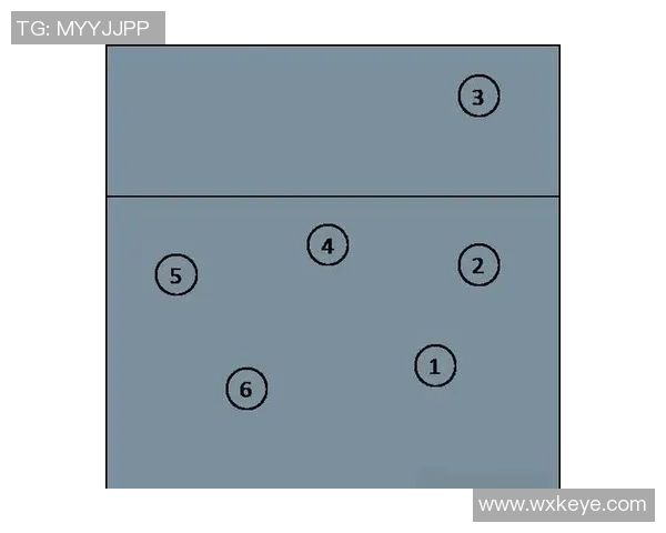 赛后分析：广州与深圳排球队在速度对抗中的表现与战术探讨
