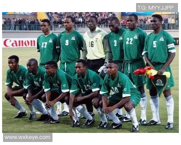 赞比亚足球明星盘点及其在国际赛场上的辉煌成就