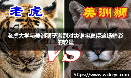 必一体育